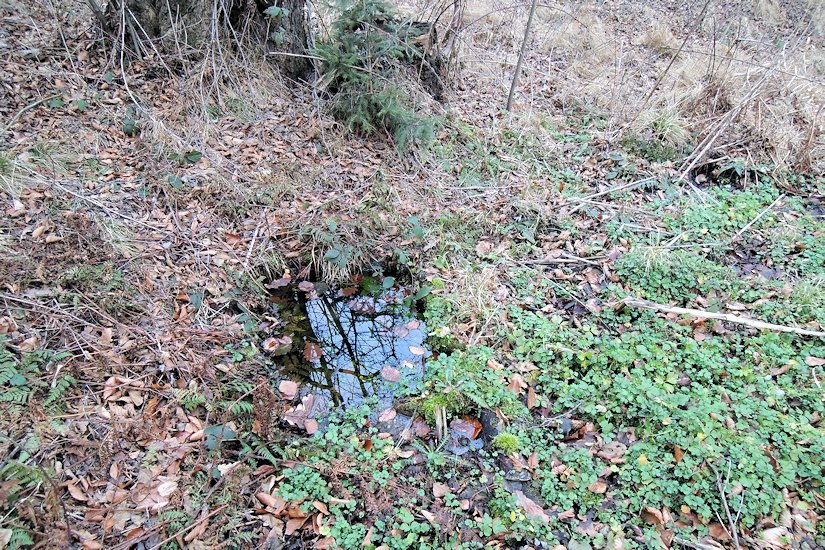 studánka Bezedná studna (7869) - leden 2014