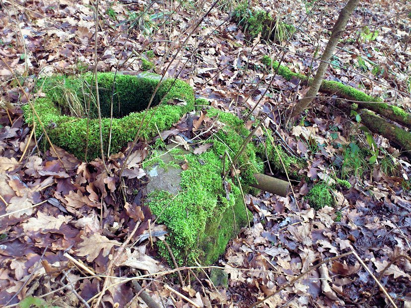 studánka bez jména (7890) - leden 2014