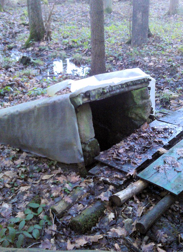 studánka Pod Rabišem (7891) - leden 2014