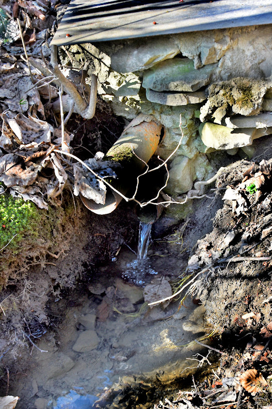 studánka Pod Javořinou (7900) - duben 2021