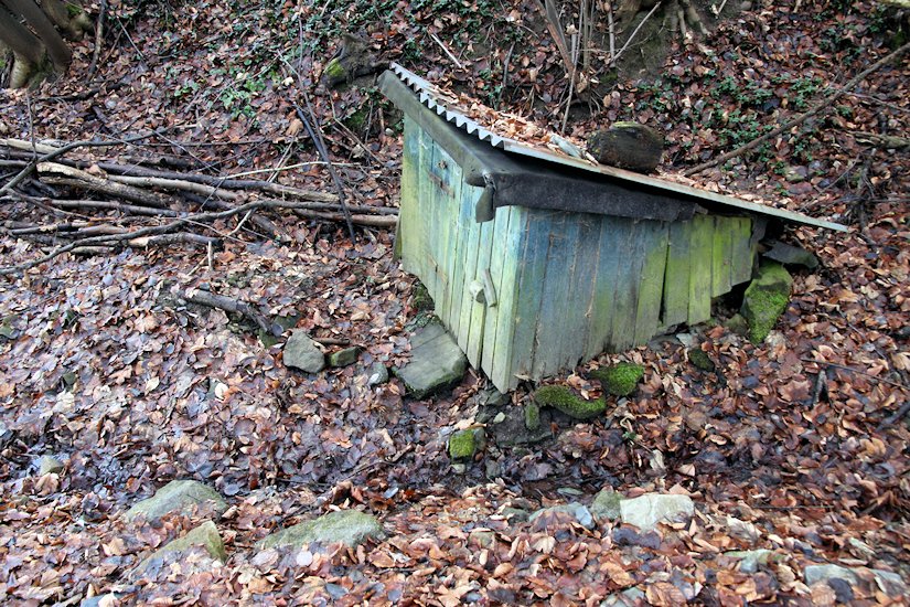 studánka V Zatáčce (7901) - leden 2014