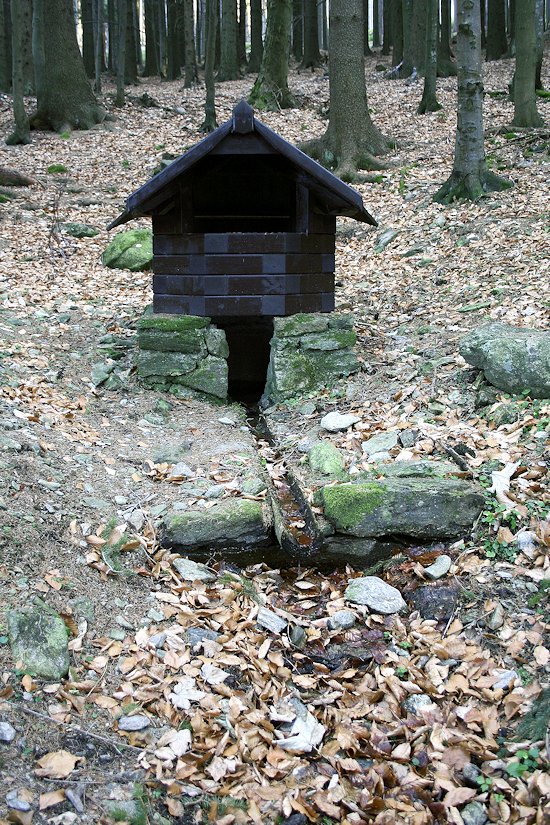 studánka U Koruny (7915) - leden 2014