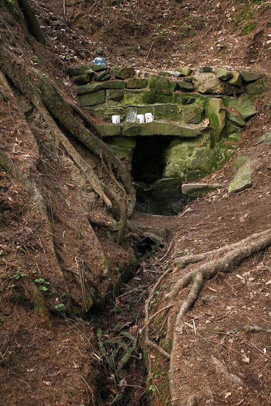 studánka Skautská (7973) - únor 2014