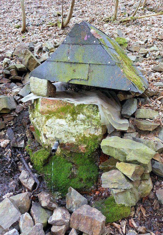studánka V Rýžích (7977) - únor 2014