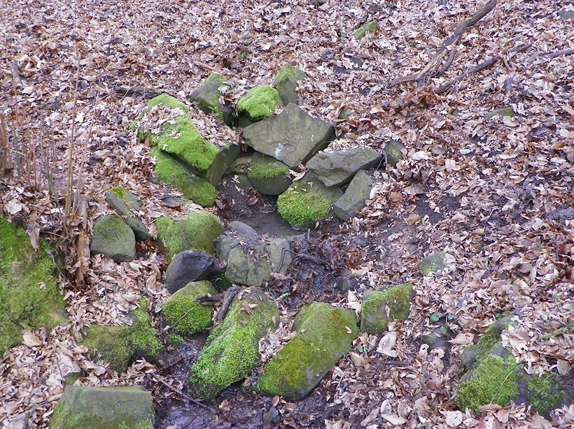 studánka Pod Volskou horou (7982) - únor 2014