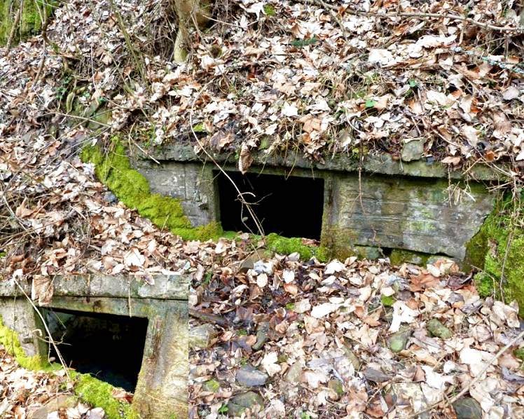 studánka bez jména (7992) - únor 2014