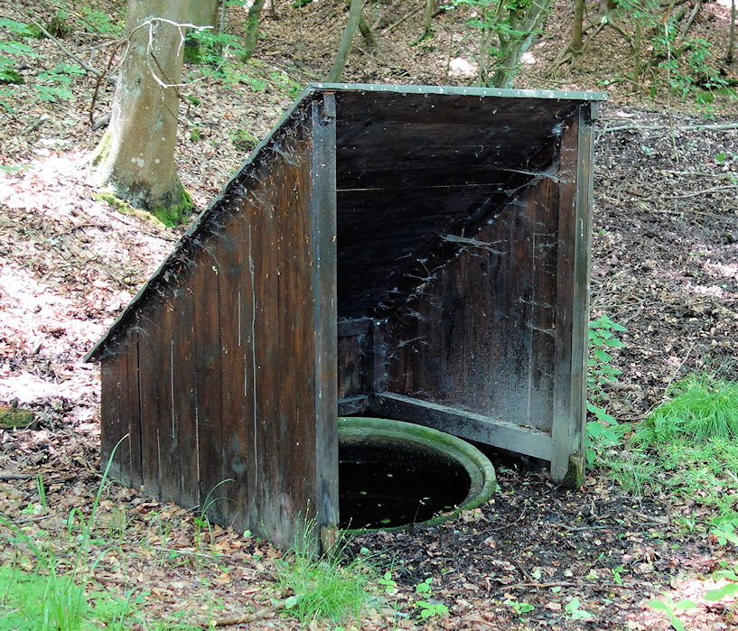 studánka U Cvočkaře (7993) - datum neznámé