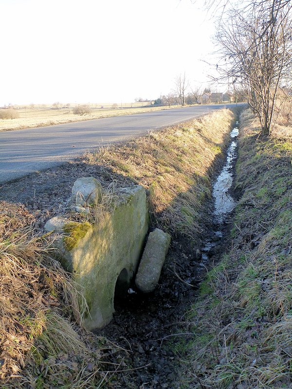 prameniště V příkopu (8036) - únor 2014