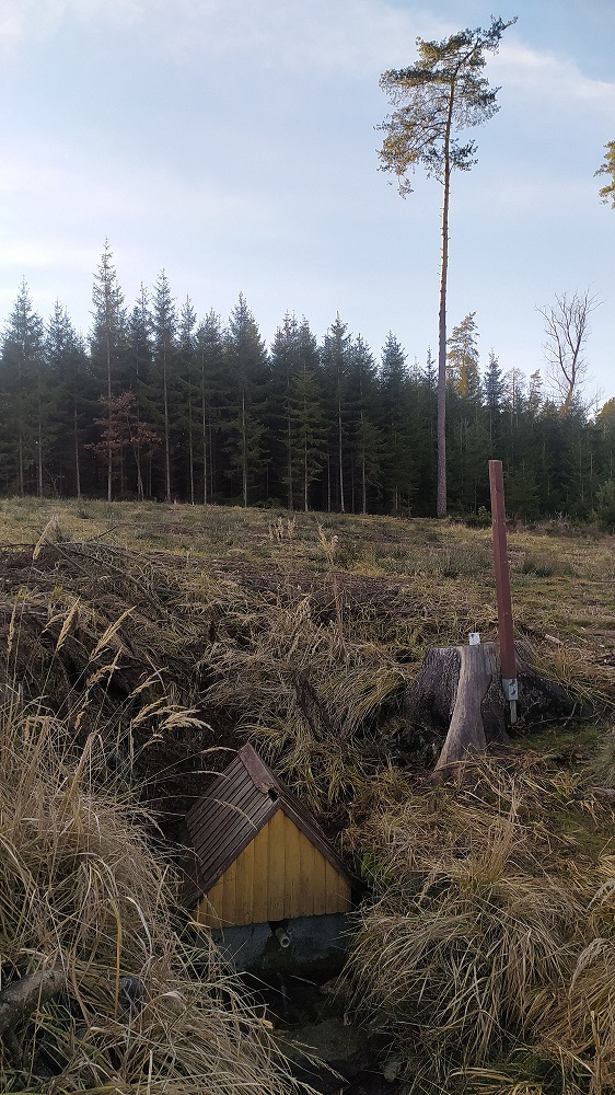 studánka U Kačáku (8045) - prosinec 2022