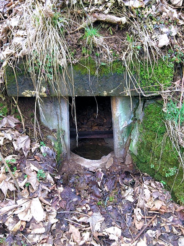studánka Zlatomlýn (8050) - únor 2014