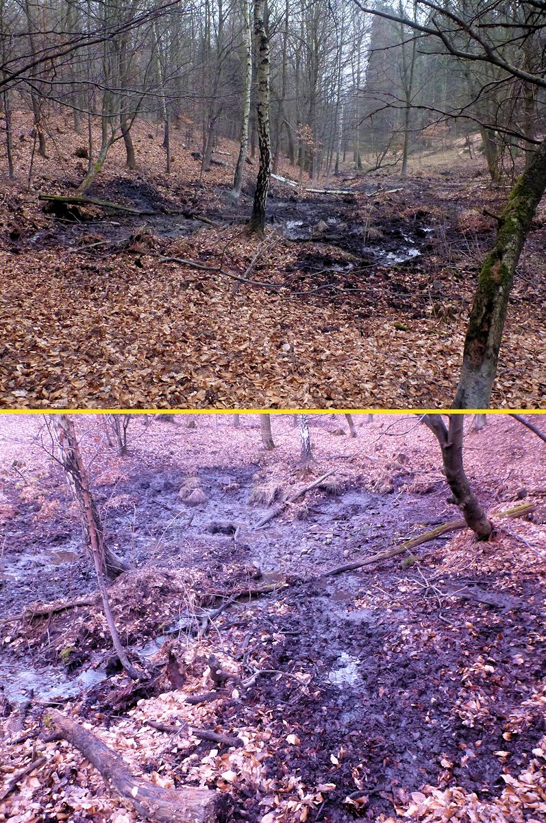 prameniště Pod starou školkou (8057) - únor 2014