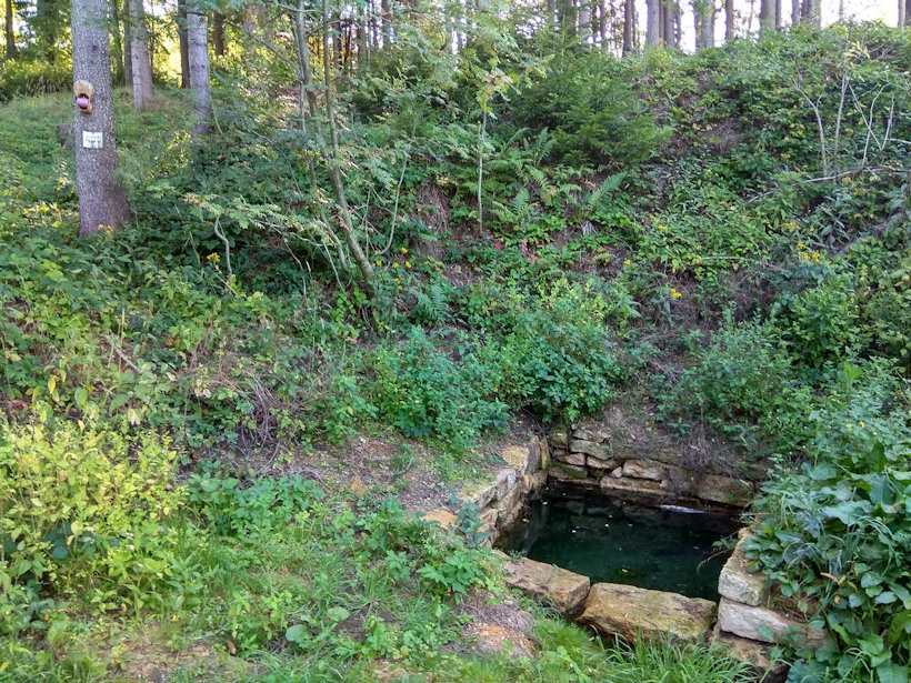 studánka Pramen Třebovky (8059) - datum neznámé