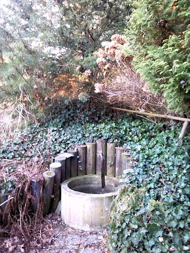 studánka Mezi rybníky (8062) - březen 2014