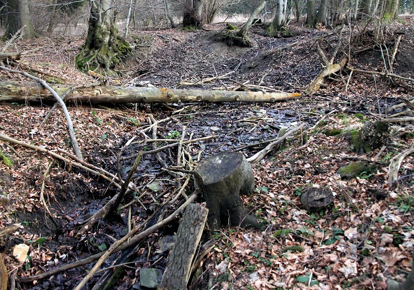 prameniště Pod Holým vrchem I (8071) - březen 2014