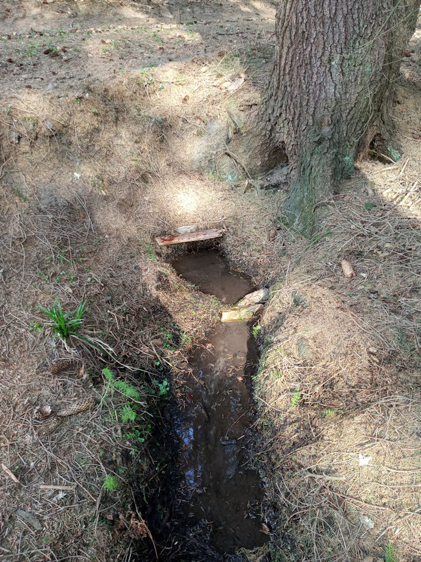 studánka Hersica (8080) - duben 2020