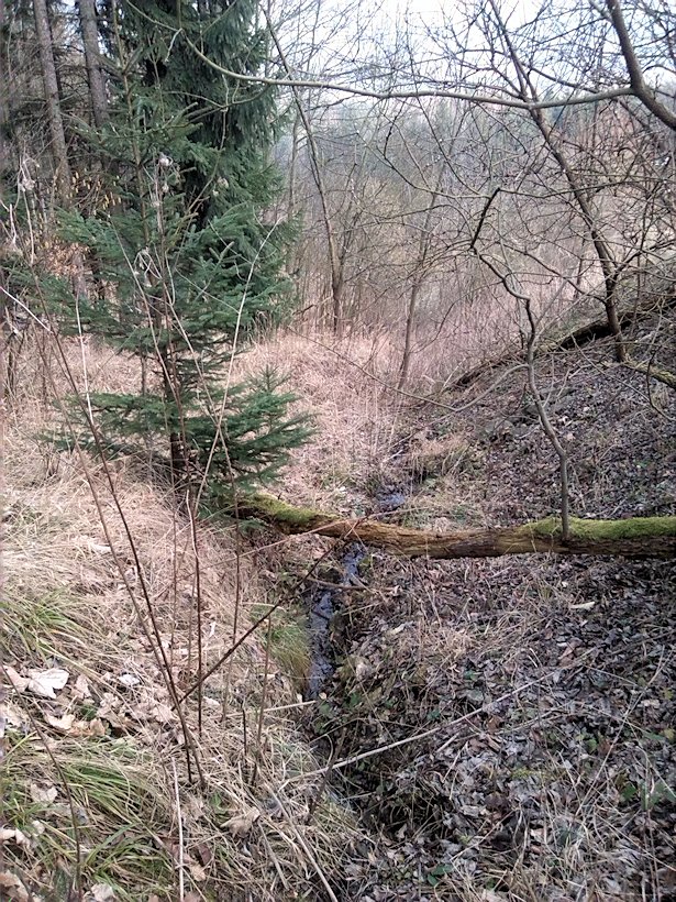 pramen Pod tunelem (8084) - březen 2014