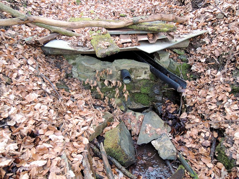 pramen Nad lomem Pohádka (Trhůvka) (8094) - březen 2014
