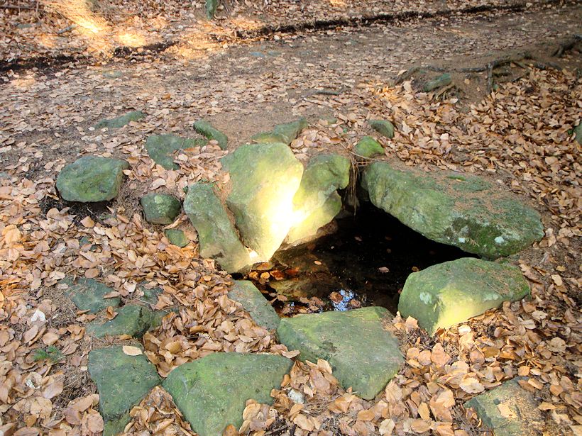 studánka Pod Hradiskem (8096) - datum neznámé