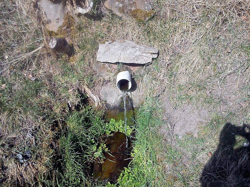 studánka U Nové Kyselky (8185) - březen 2014