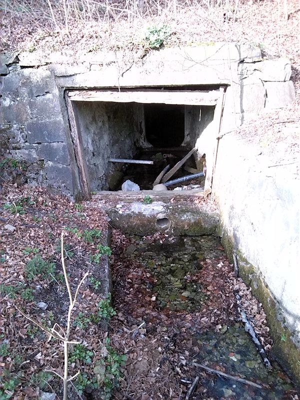Svojanovský pramen (8208) - březen 2014