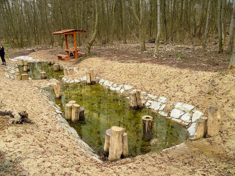 studánka bez jména (8211) - březen 2014