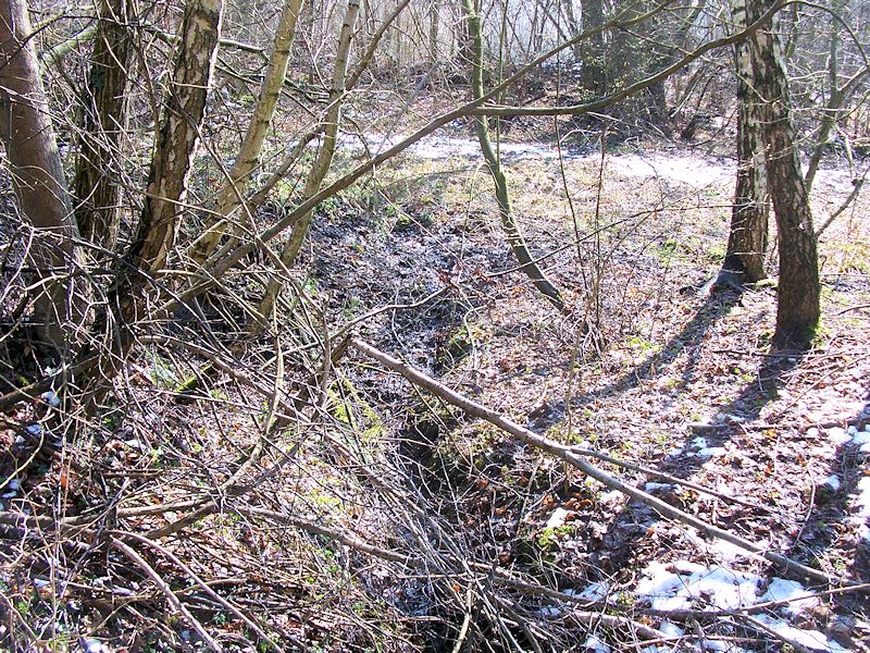 prameniště bez jména (8212) - březen 2014