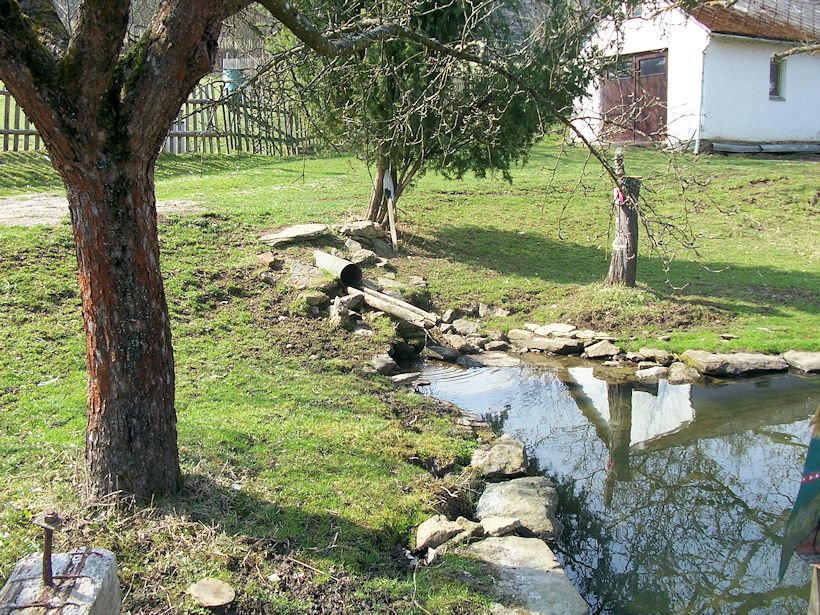 jiný vodní zdroj Nový Dvůr (8223) - březen 2014