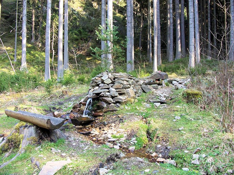 studánka Pod hradem (8224) - březen 2014