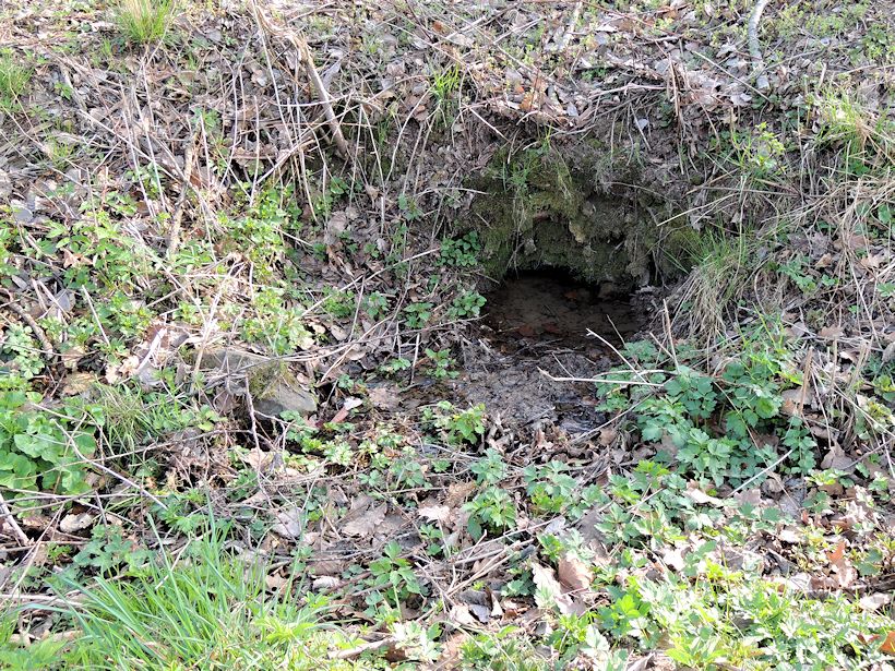 studánka U střelnice (8247) - duben 2014