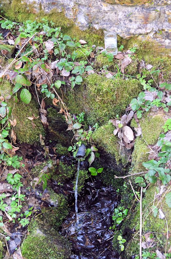 studánka bez jména (8248) - duben 2014