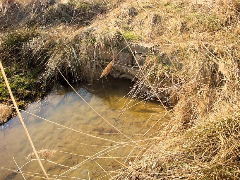 jiný vodní zdroj U Skaláku (8249) - duben 2014