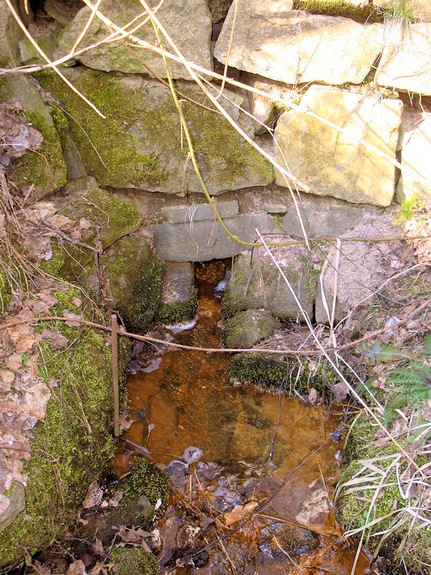 studánka U Pahorku (8250) - duben 2014