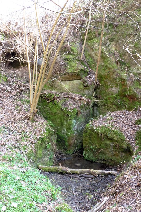 studánka bez jména (8254) - duben 2014