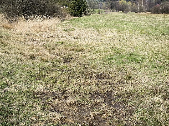 prameniště Konopišťský potok (8257) - duben 2014