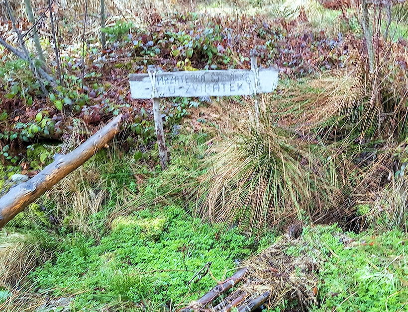 studánka U zvířátek (8263) - březen 2023