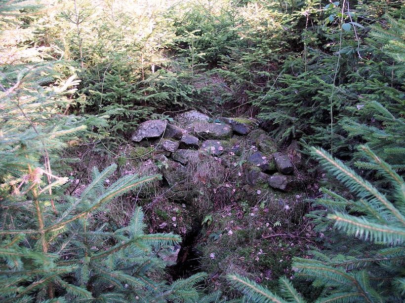 studánka bez jména (8269) - duben 2014