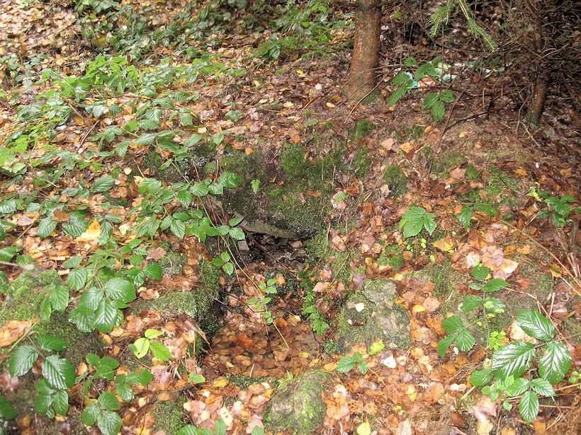 studánka bez jména (8270) - duben 2014