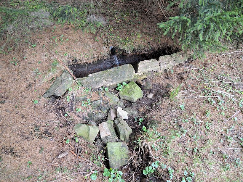 studánka U Švéda (8286) - duben 2014