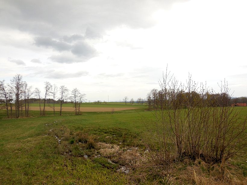 prameniště Žejbro (8295) - duben 2014