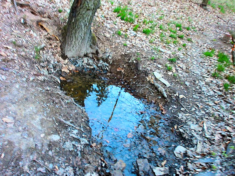 studánka Oko hor Ausiné (8300) - duben 2014