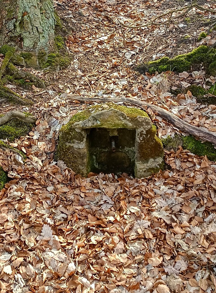 studánka Pod Hvězdou (8302) - březen 2024