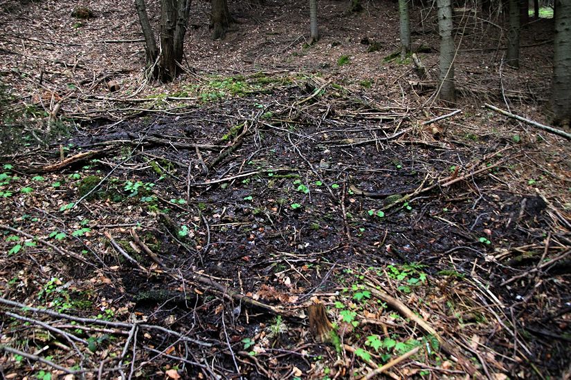 prameniště Nad Kocurkama (8326) - duben 2014