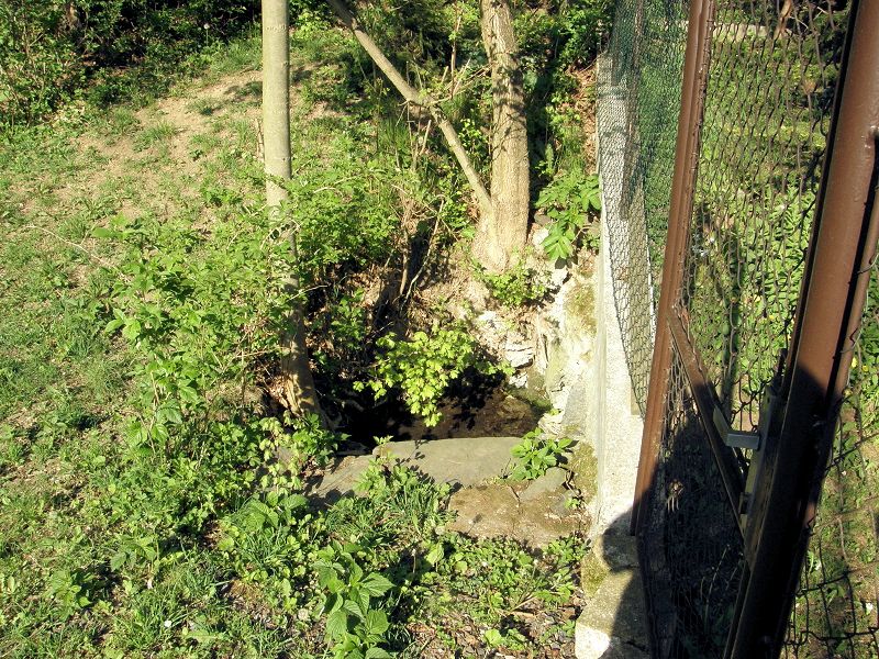 studánka V podhájí (8340) - duben 2014