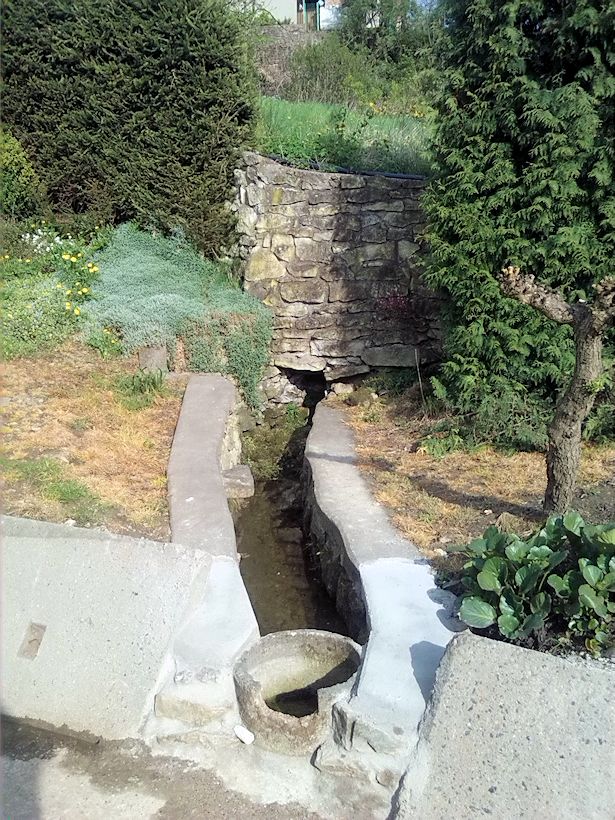 studánka Na dolním konci (8359) - duben 2014