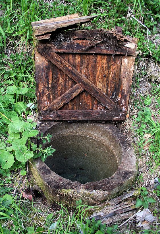 studánka Pod Bíliskem (8368) - duben 2014