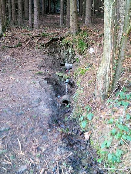 studánka Hluboký potok (8374) - duben 2014