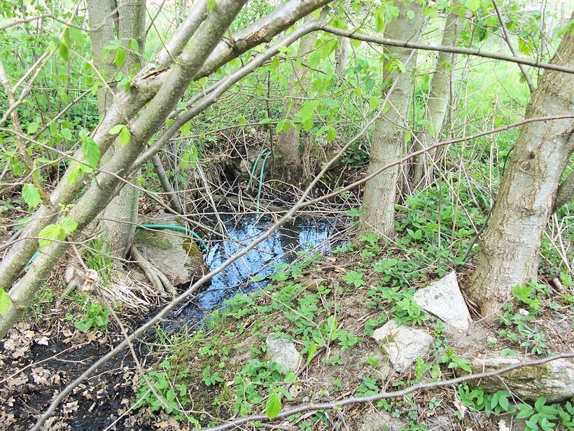 Dobrotická studánka (8377) - duben 2014
