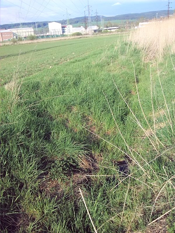 pramen Nad rozvodnou (8381) - duben 2014