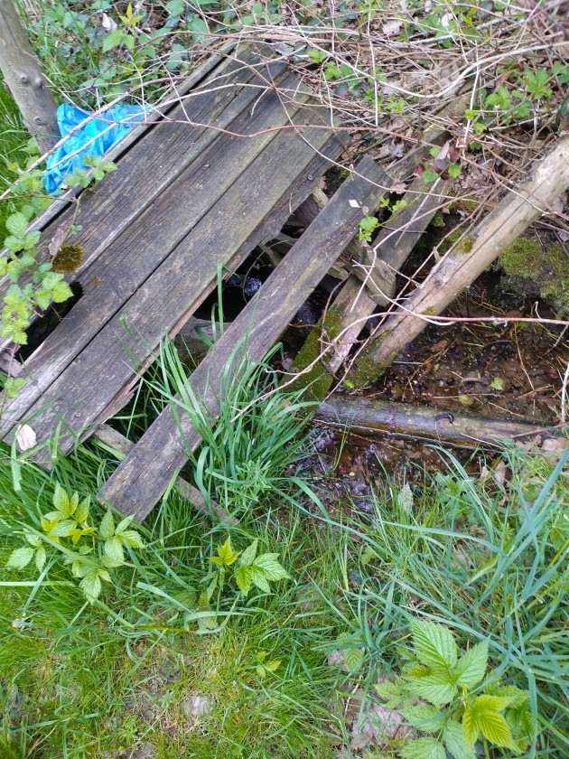 studánka bez jména (8384) - datum neznámé