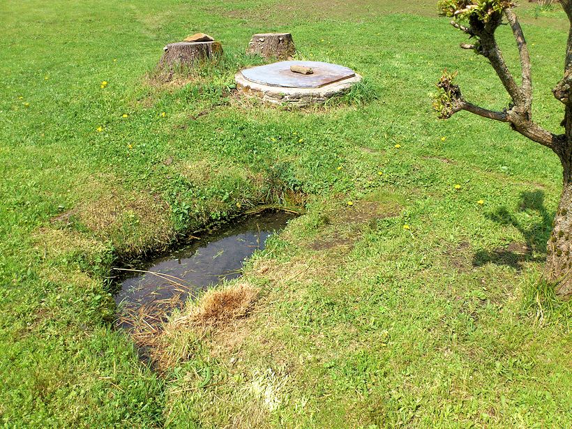studánka bez jména (8389) - duben 2014